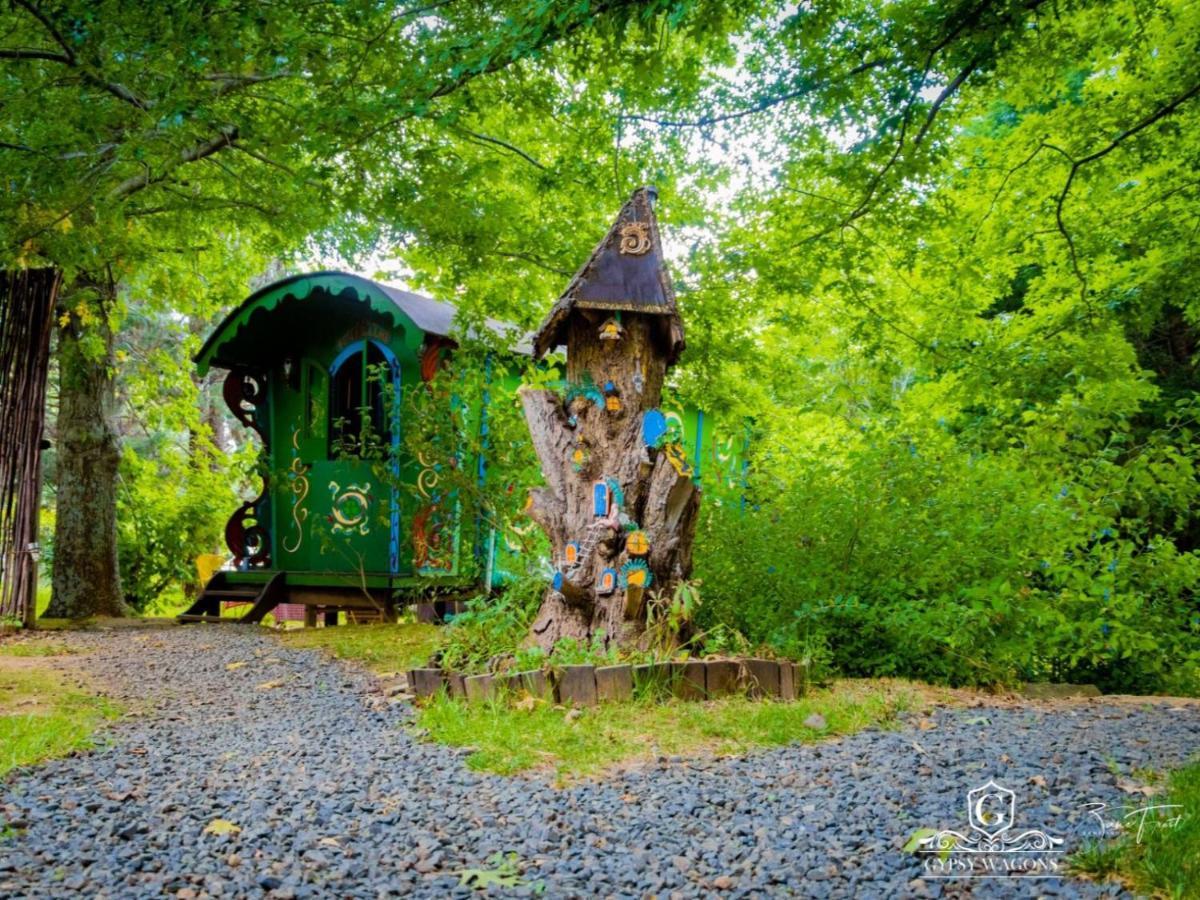 Gypsy Wagons And Vans, クラレンス 部屋 写真